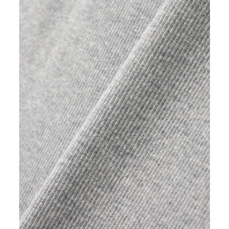 AVIREX DAILY RIB L/S CREW NECK T-SHIRT  "GRAY" 7834930019-020