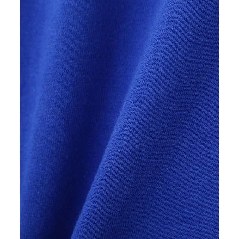 AVIREX SIGNATURE VARSITY LOGO LONGSLEEVE T-SHIRT "BLUE" 7836930006-110